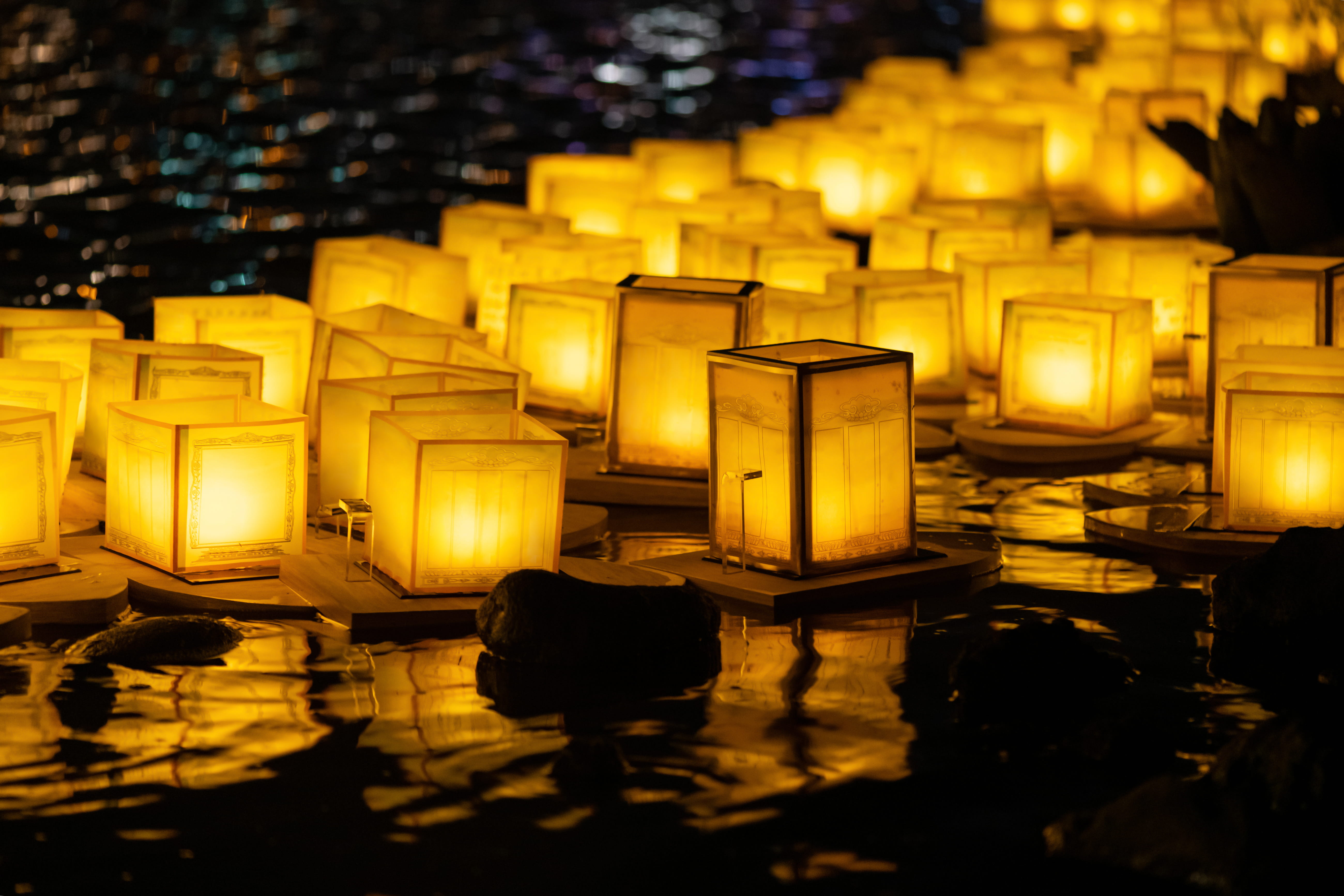AdobeStock_303648262.jpg
